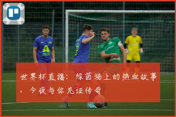 世界杯直播:绿茵场上的热血故事,今夜与你见证传奇
